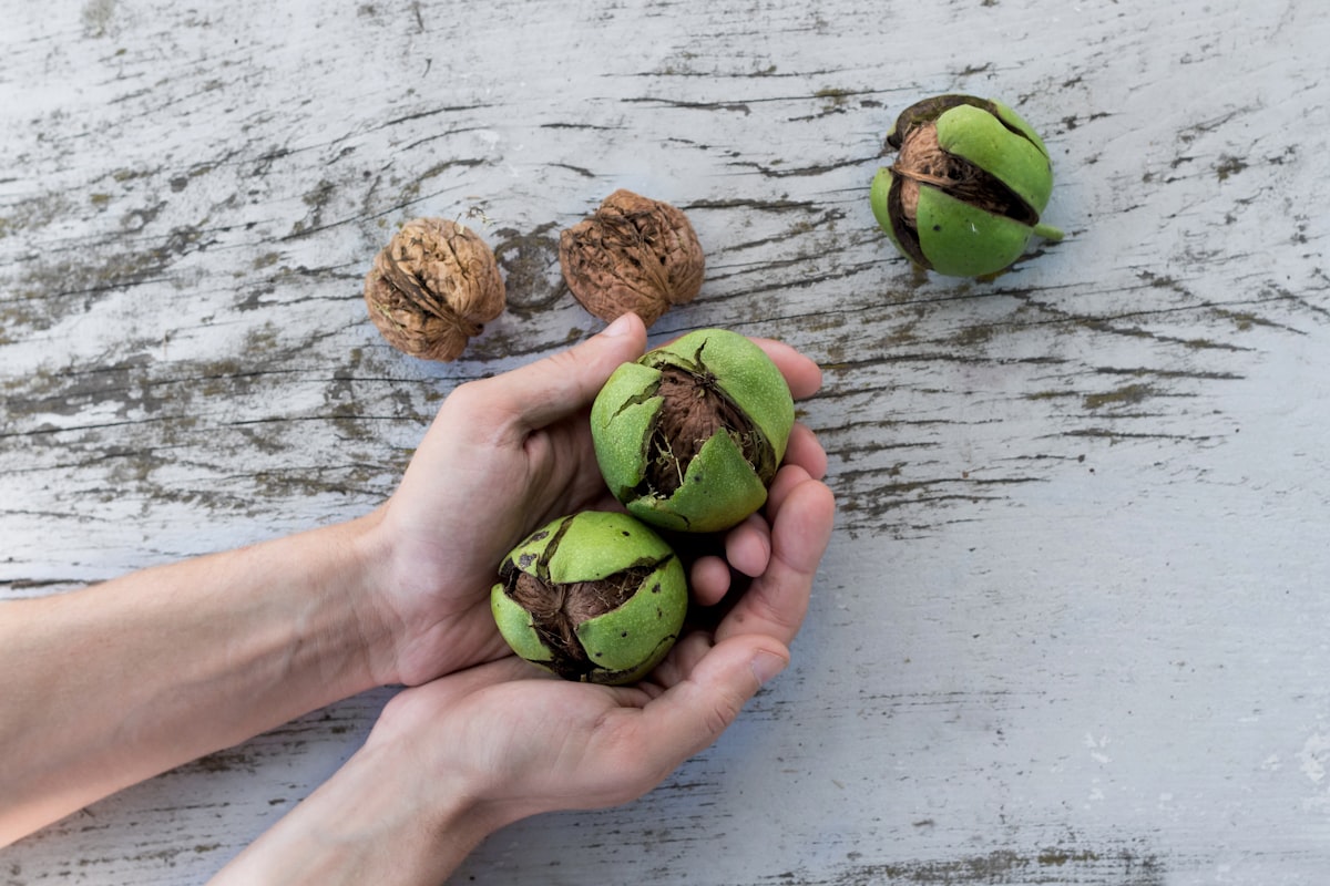 Nutrición equilibrada